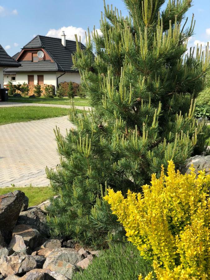 Villa Detvan Stará Lesná Exteriér fotografie